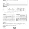 NAD+ 1000mg Black - COA - Molecular Solutions Peptides - 07.14.2025