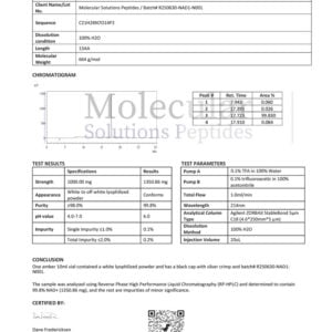 NAD+ 1000mg Black – COA – Molecular Solutions Peptides – 07.14.2025